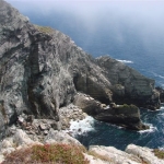 dsc048581