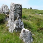 dsc062391