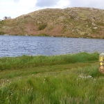 sheepsheadviewjune1